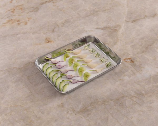 Food Tray 135_185-3