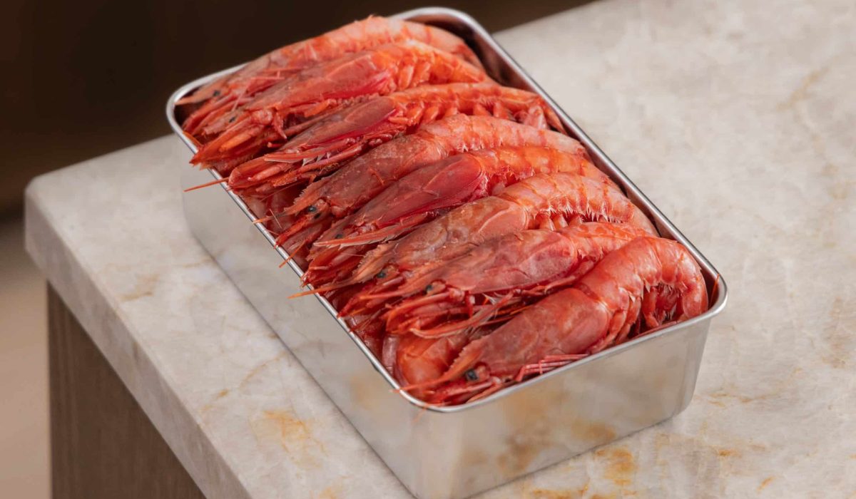 Gamba Rosso-04