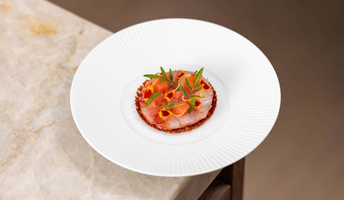Gamba Rosso-09