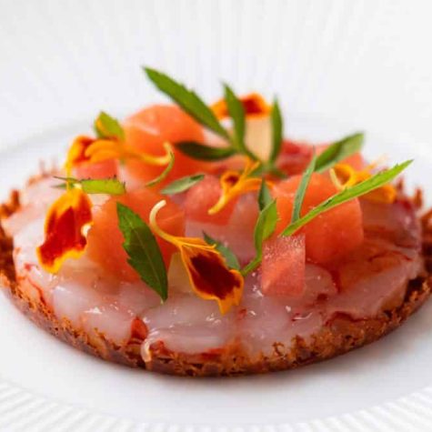Gamba amuse website