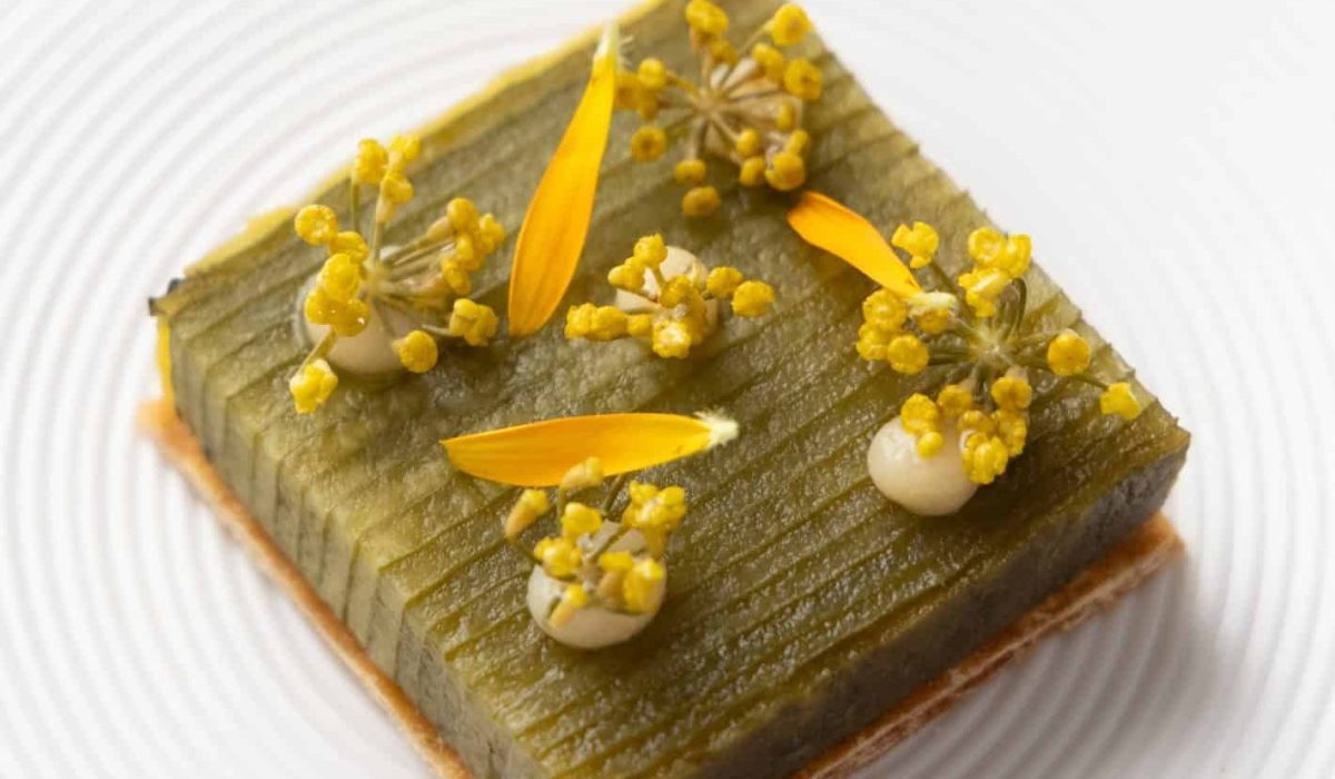 Garden Bite - Dish