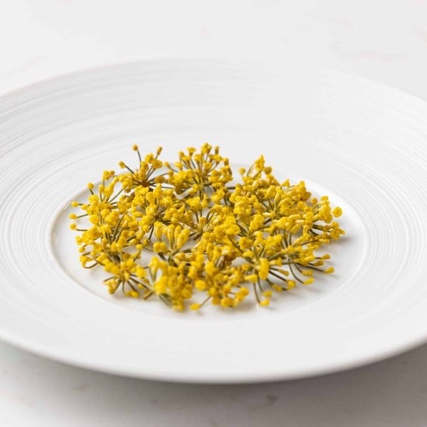 Pickled fennel flowers