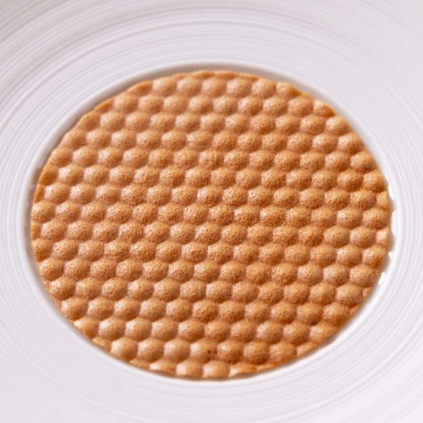 Honey tuille