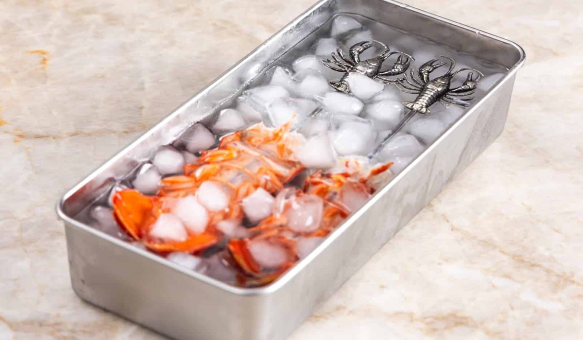 Lobster in ice water