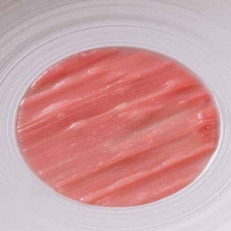 Sous-vide rhubarb disc