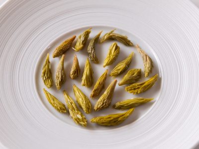 Sweet and sour spruce tips