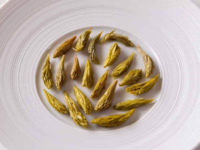 Sweet and sour spruce tips