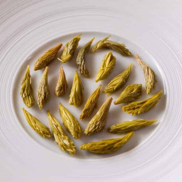 Sweet and sour spruce tips