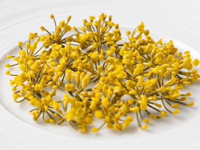 sweet & sour fennel flowers