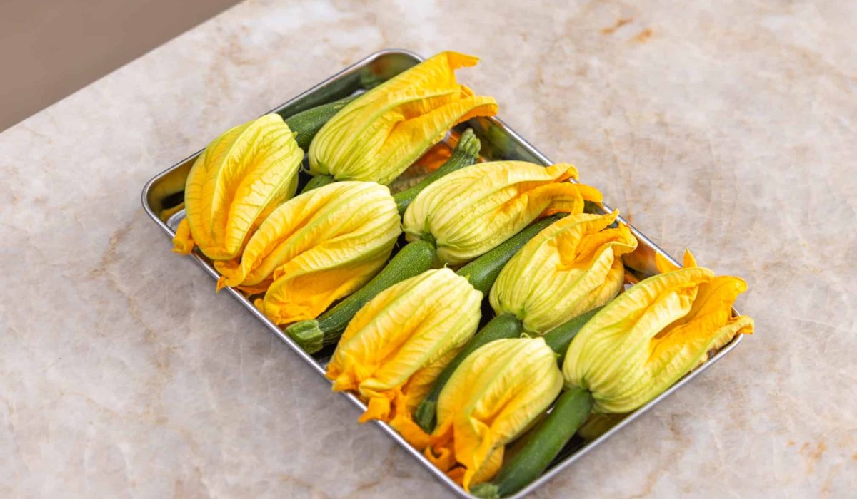 Zucchini flower