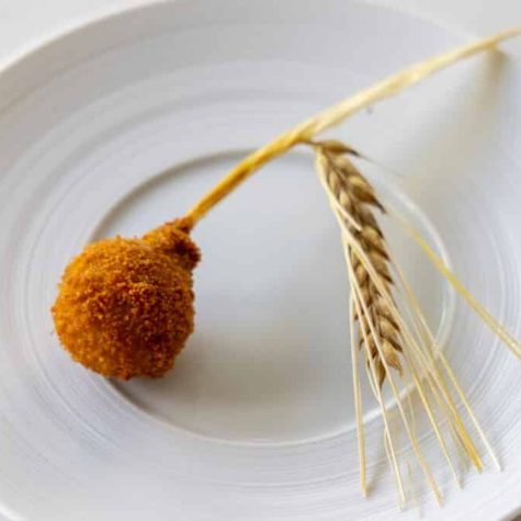 Pigeon bitterballen