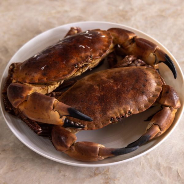 crab