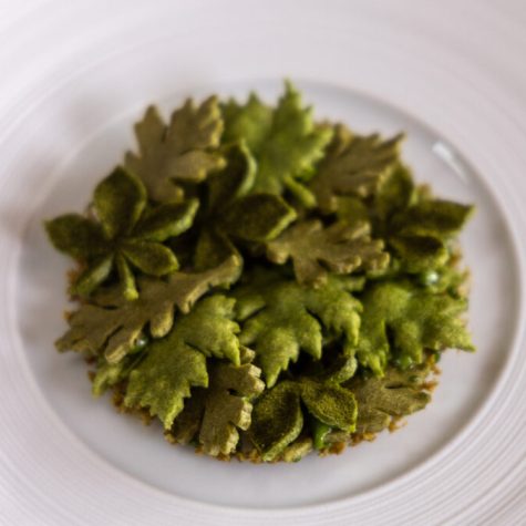 Herb tuille