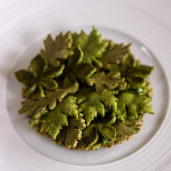 Herb tuille