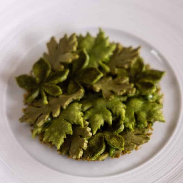 Herb tuille