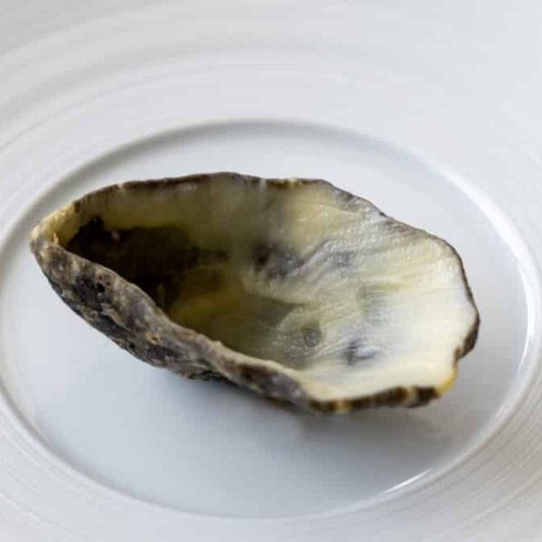 Edible oyster shell