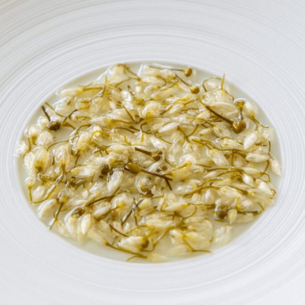 Pickled wild garlic flowers