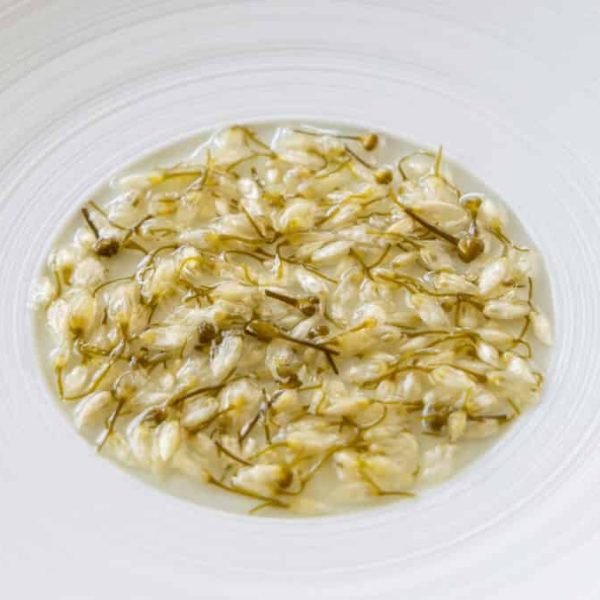 Pickled wild garlic flowers