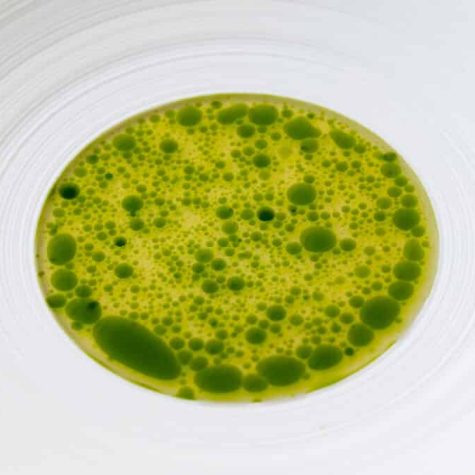 Tomato & fig leaf broth / vinaigrette