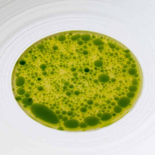 Tomato & fig leaf broth / vinaigrette